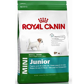 ���� ������ ����� ���� ���� �'����� ������ 8 �"� - royal canin junior mini