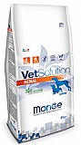 MONGE VET SOLUTION ����' ���� ����� ������ ��� 12 �"�