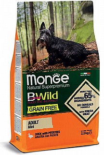 Monge ����' ������� ���� ��� ������ ���� ��� ��� ����� ����� 2.5 �"�
