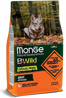 Monge ����' ������� ���� ��� ������ ��� ����� ����� 12 �"�