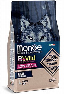 Monge ����' ������� ���� ��� ������ ����� ����� ��� 12 �"�