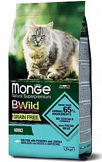 Monge ����' ������� ���� ��� ������� ��� ����� �� ��� 1.5 �"�