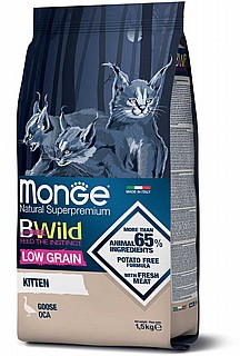 Monge ����' ������� ���� ��� ������ ����� ����� ���� 1.5 �"�