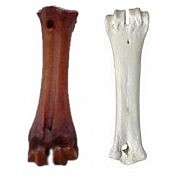 ��� ���� ���� Calcium Bone