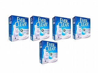 ����! 4+1 �� ����� ��� EVER CLEAN