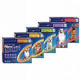 נקסגארד ספקטרה לכלבים 2 – 3.5 ק"ג NexGard Spectra נקסגארד ספקטרה לכלבים 2 – 3.5 ק"ג NexGard Spectra