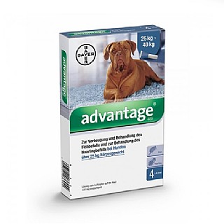 ��������'- ������� ������ ������� ���� ����� ��� 25 �"� ADVANTAGE CAO MAIS 25 KGS