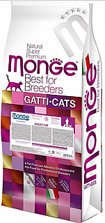 Monge ����' ����� ���� ��� 10 �"� 