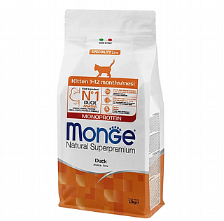 Monge ����' ����� ���� ����� 1.5 �"�