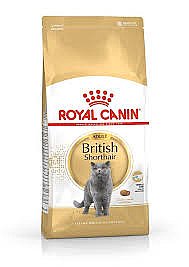 �����  ���� ���� ����� 4 �"� Royal canin