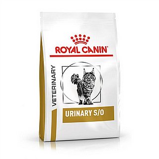 ����� ���� ���� ������ 3.5 SO �"� Royal canin