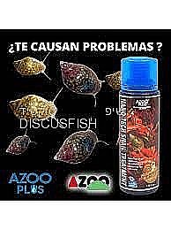 ����� ��� ������� 125 ��