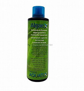 AlgaeX � ����� ������ ������ ������ ���� ����������� �������� ��� ������ ��� ����