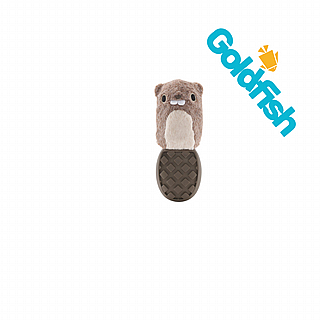 BARK ���� ���� 