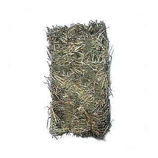  ����� ���� Grass and Hay for Rabbits