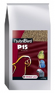 �������� 15-P ������� 10 ���
