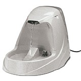 ������ �������� ����� ��� ����� 5 ����