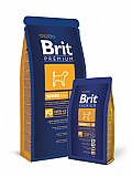 ���� ��� ������ ������ ���� ������ ��� 15 �"� Brit