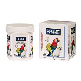 ����� ����� ������ �������� �� ���������� - Prime